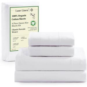 Organic Cotton Queen Sheet Set